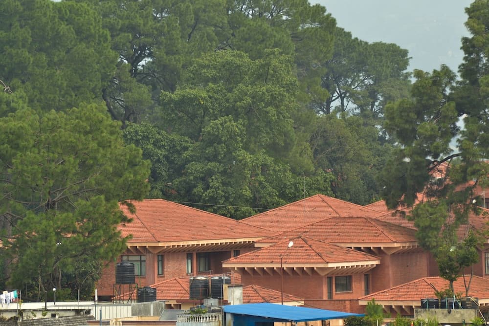 Mandala Hotel Pvt.Ltd. photo 4