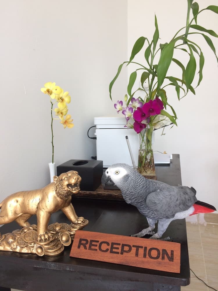 recepcion & lobby