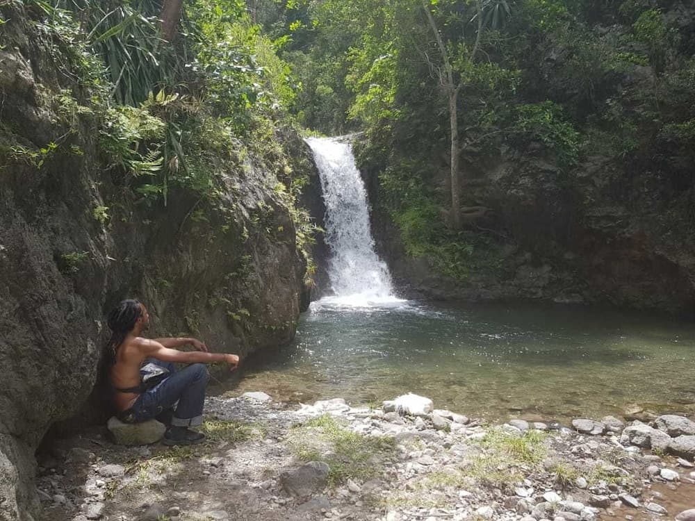 Yardie Guest House photo 2