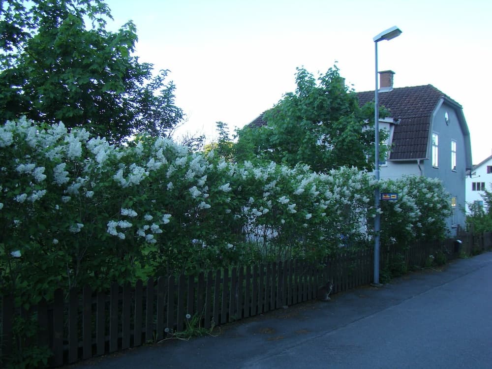 Wonderful Home photo 8