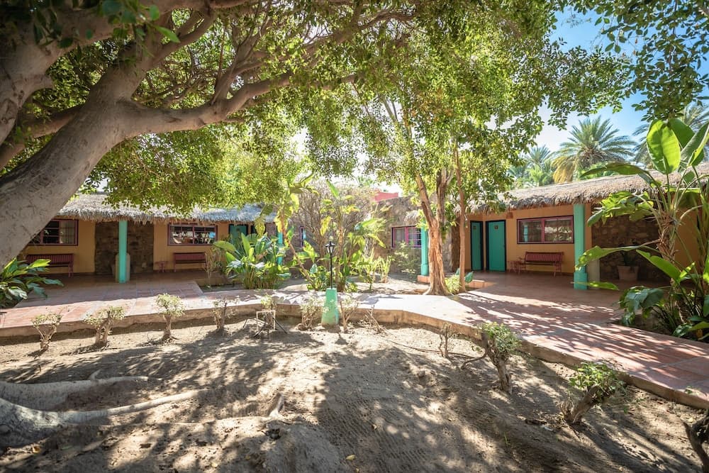 Hotel Oasis