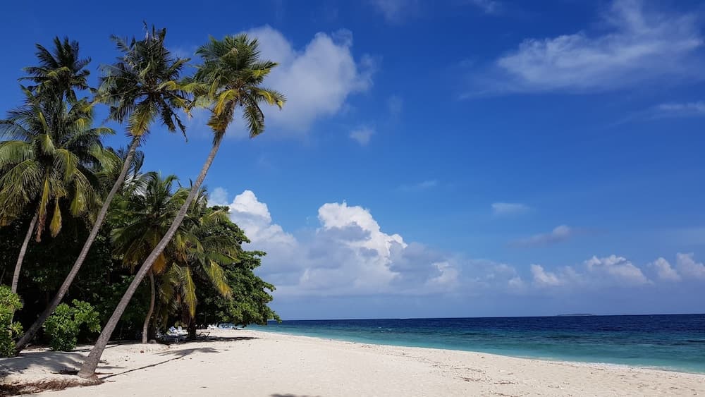 Blue World Dharavandhoo photo 4