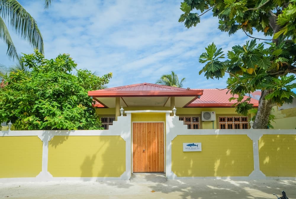 Whale Shark Inn Maldives photo 7