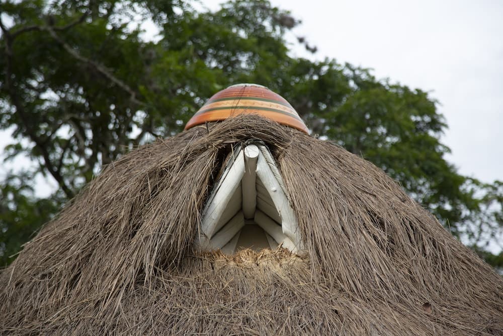 Nativo Glamping photo 6