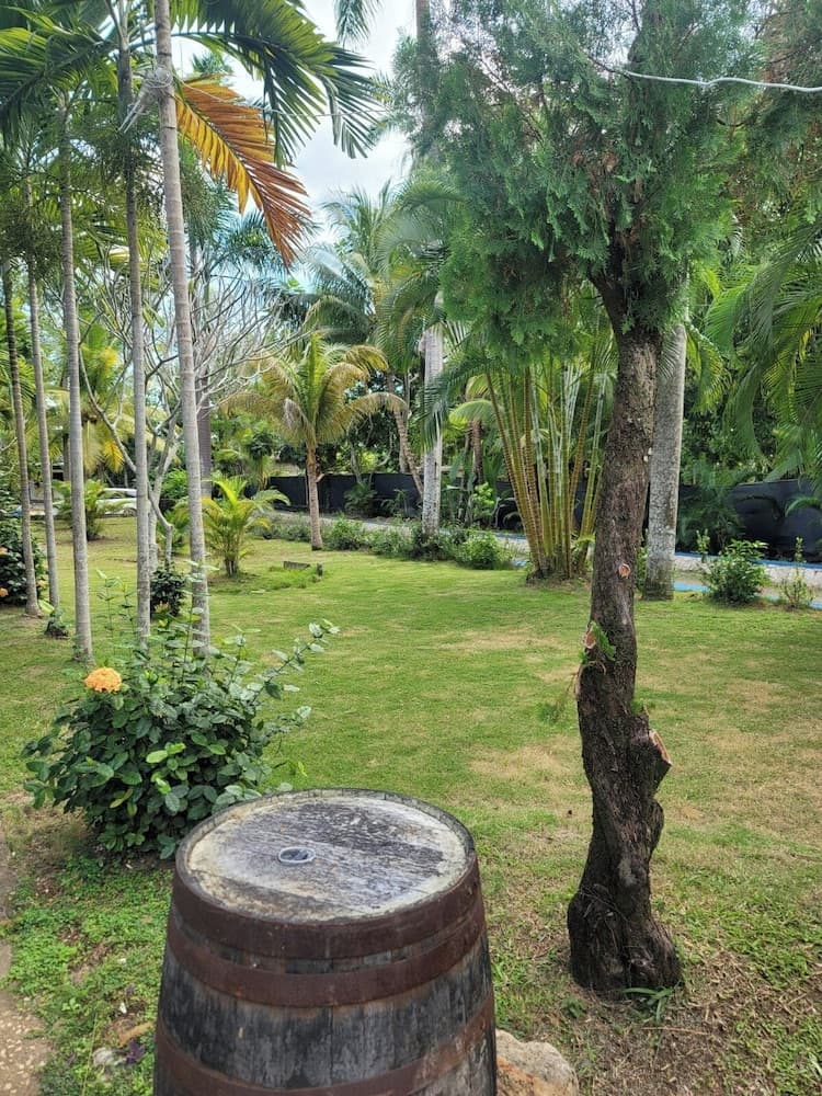 Rum Runners Resort photo 4
