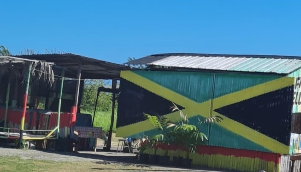 Tropical Paradise Retreat in St Ann's photo 7