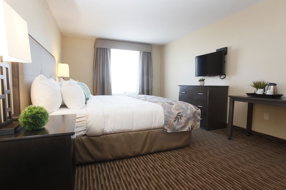 Pomeroy Inn & Suites at Olds photo 6