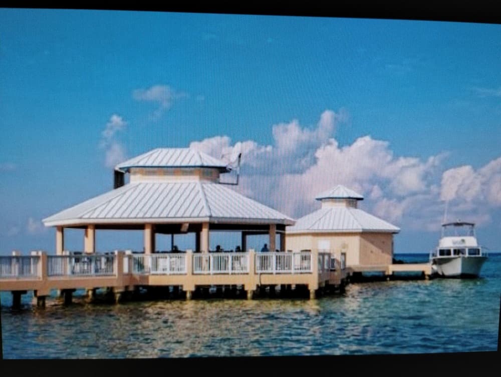 Morritts Tortuga Club photo 3