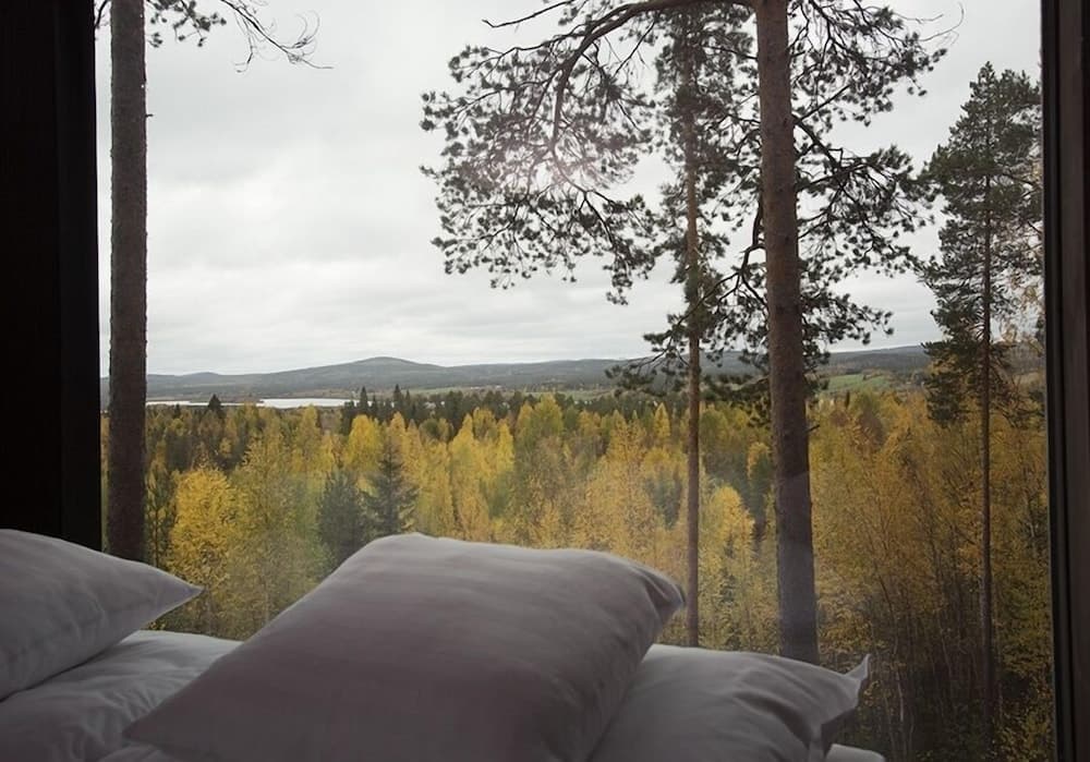Tree Hotel photo 4