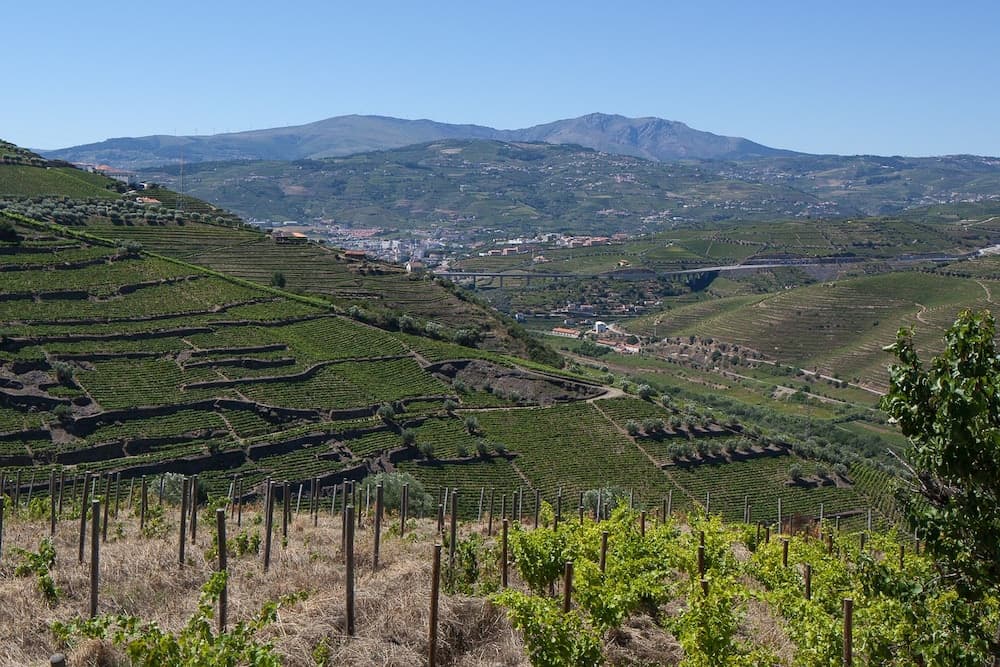 Quinta de Casaldronho Wine Hotel photo 2