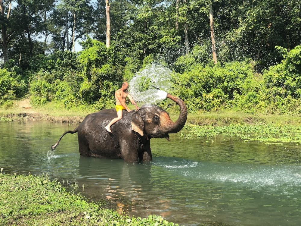Hotel Tharu Garden photo 9