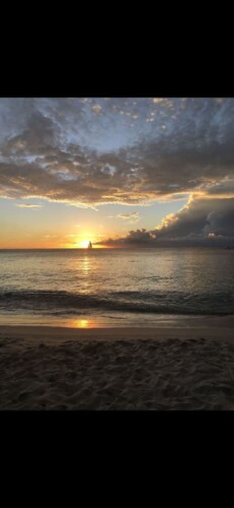 Sunset Oasis photo 3