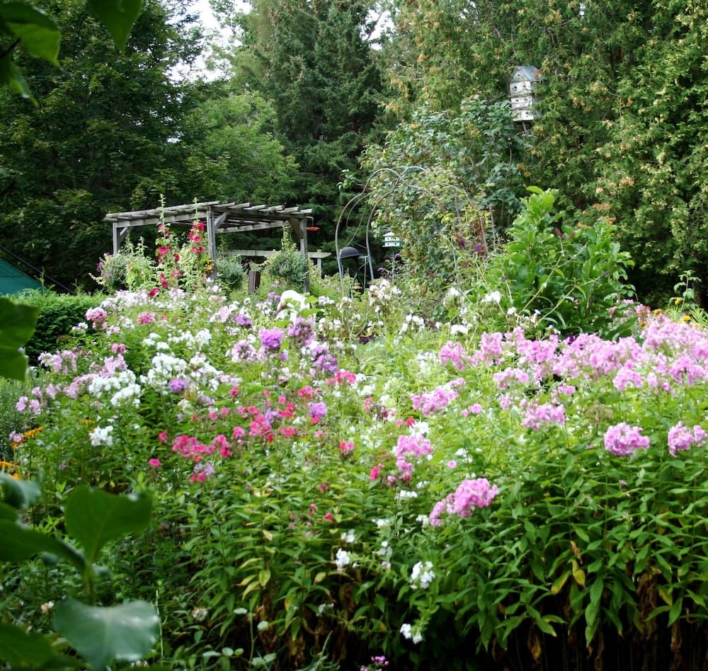 Burleys Gardens and Suite photo 9
