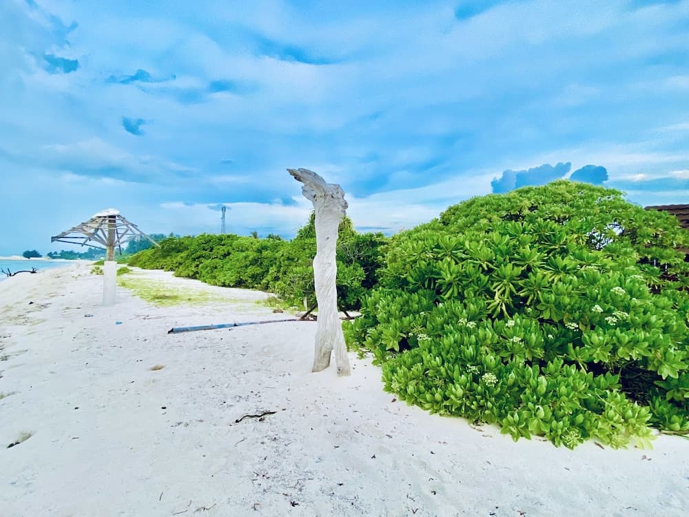 Oasis Village Fenfushi photo 3
