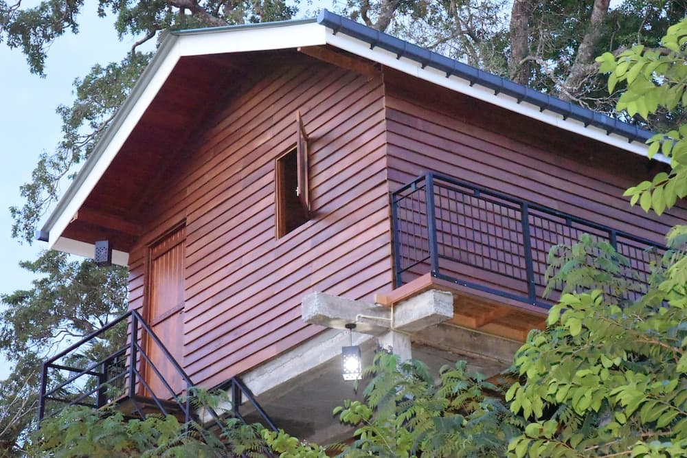 wilpattu Tree House photo 4