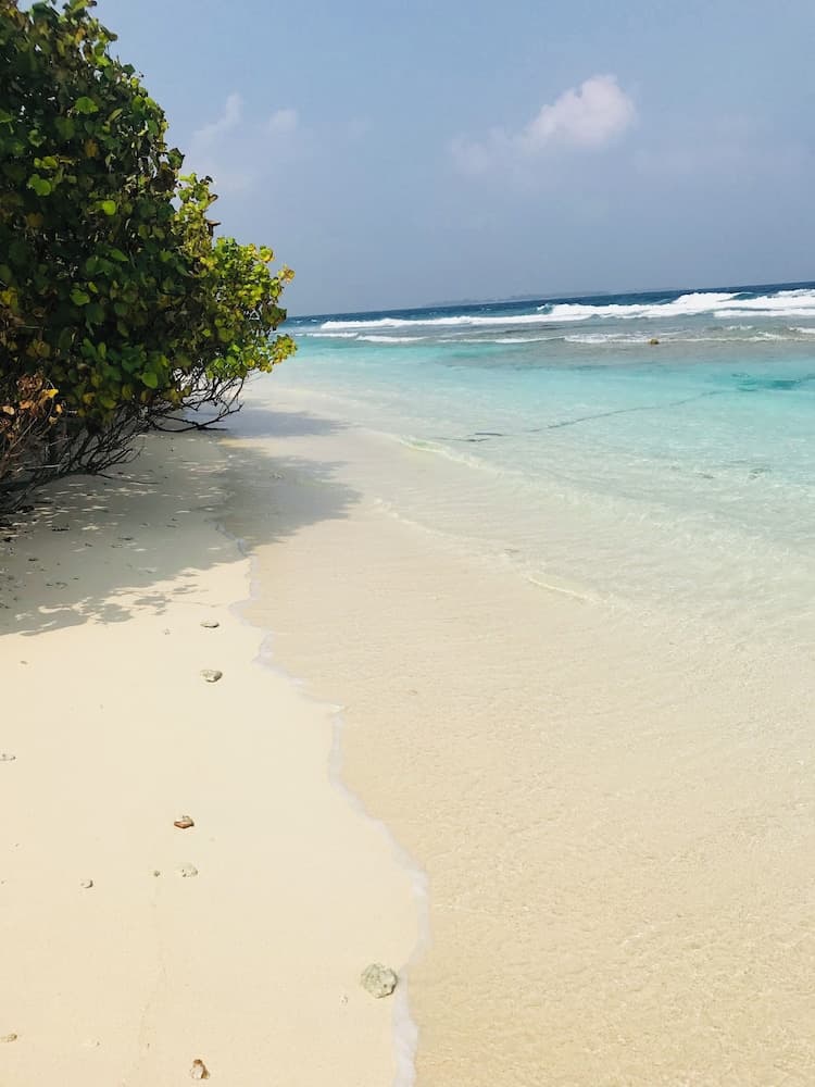 Bon Abri maldives photo 8