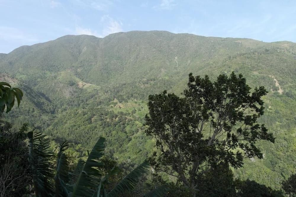 Jay's Guest House photo 9