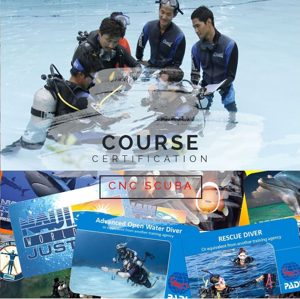 CNC DIVE RESORT photo 9
