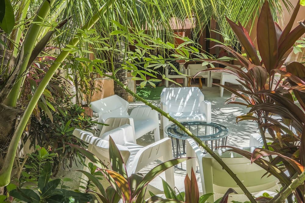 Royal Inn Rasdhoo photo 9