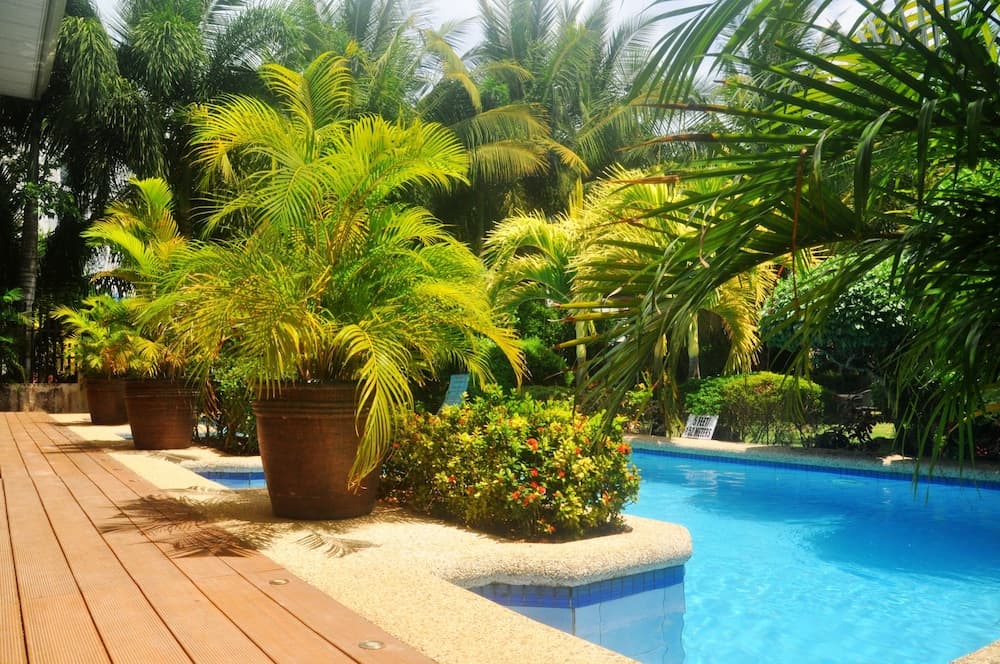 Golden Palm Resort photo 9