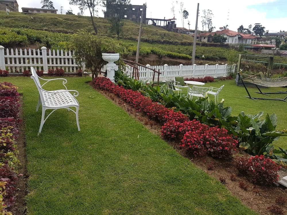The Tea Garden photo 3