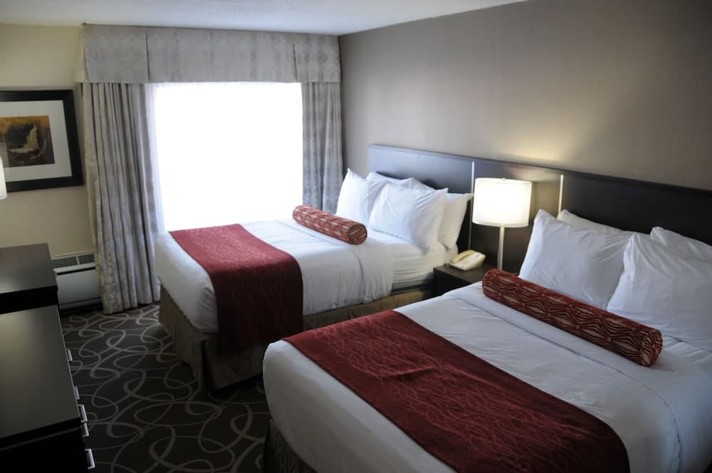 Admiral Inn Burlington photo 7