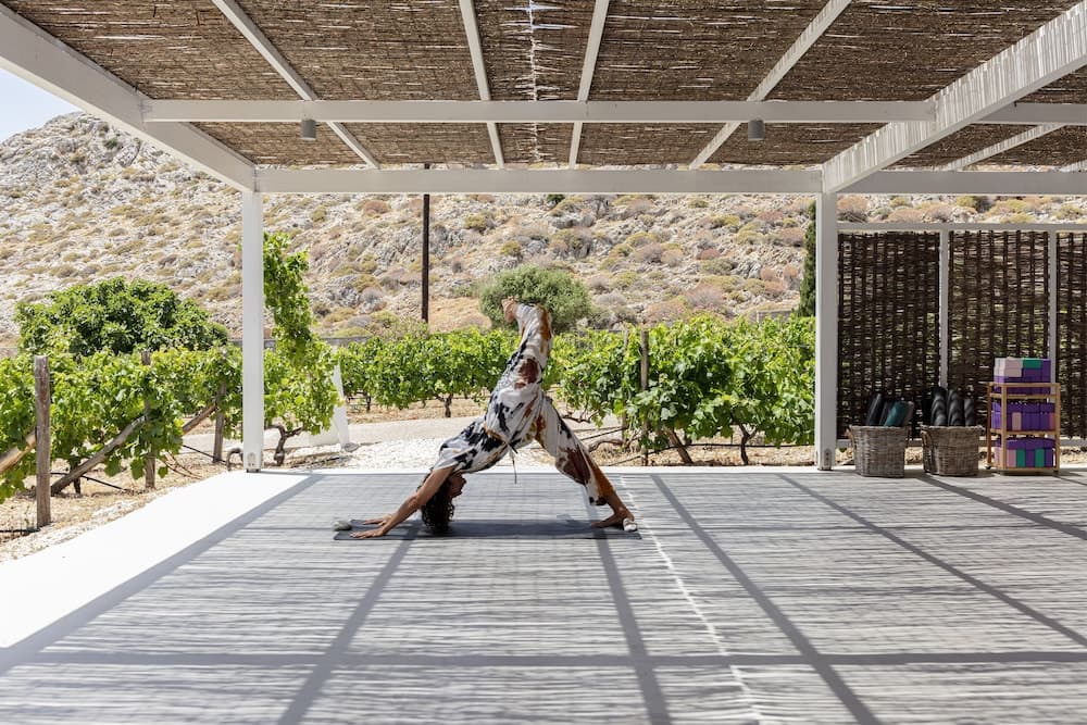 ANEMI Folegandros photo 8