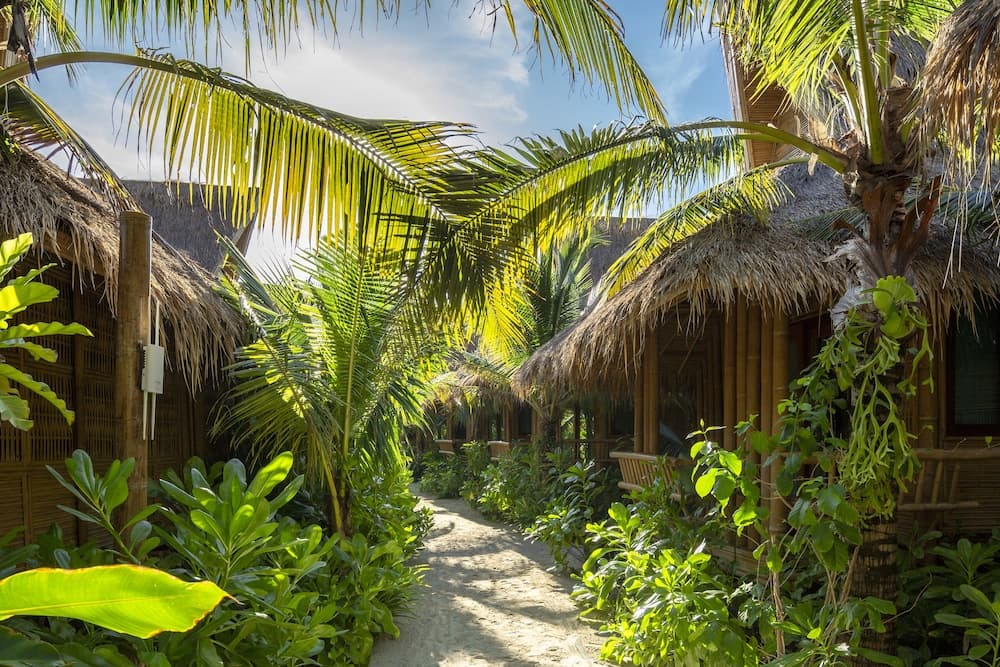 Phi Phi CoCo Beach Resort photo 3