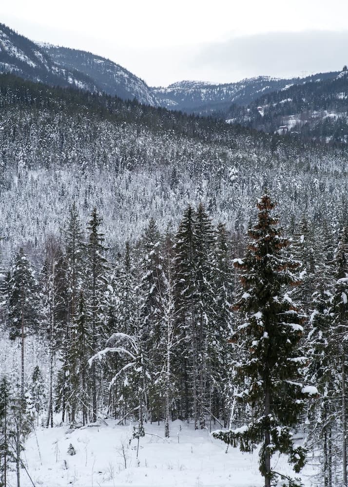 Eggedal Borgerstue photo 6