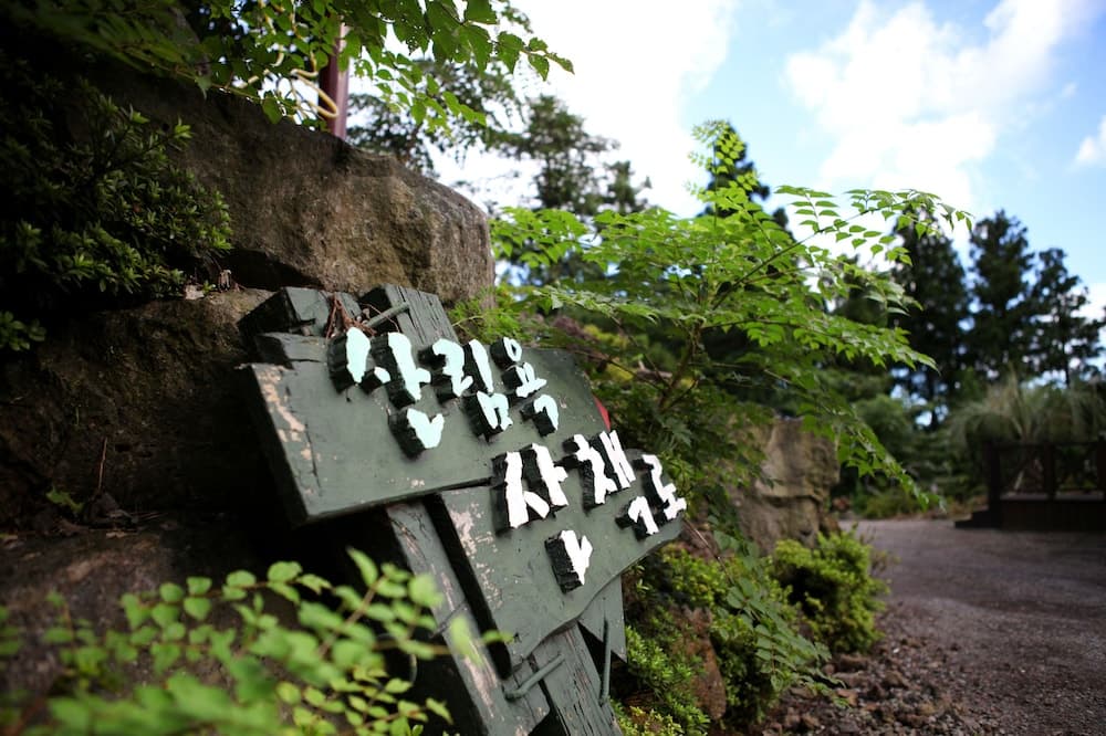 Yeats Vill Pension photo 5