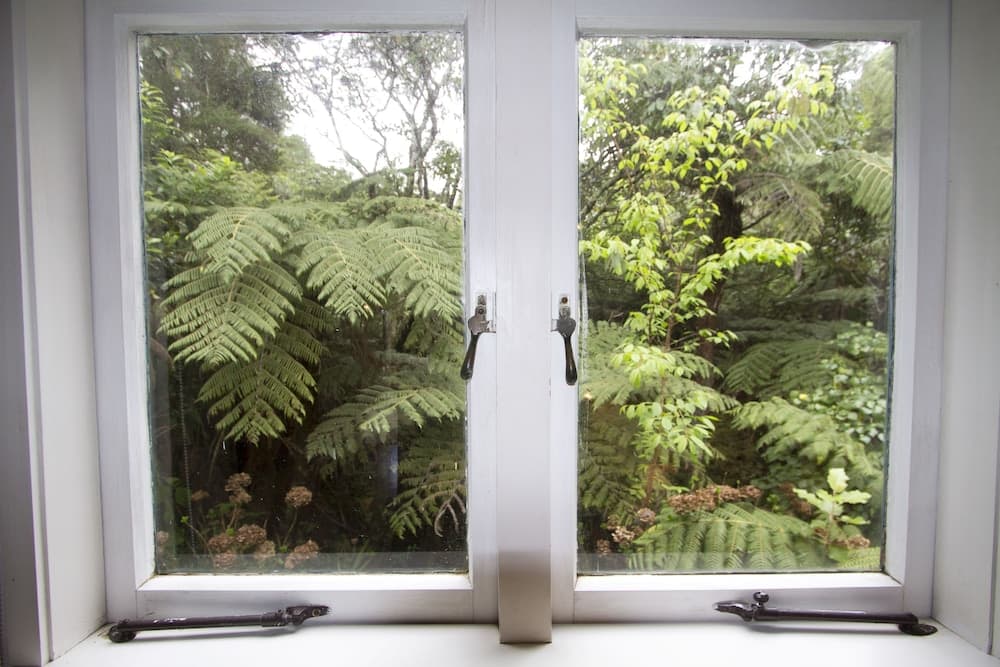 Fern Lodge photo 5