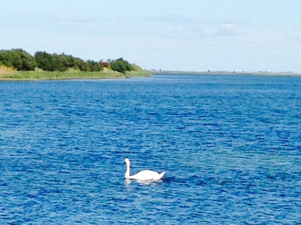 Askø Bed & Breakfast photo 3