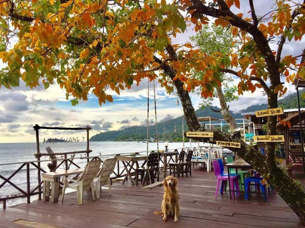 Kohchang 7 seaview bungalow