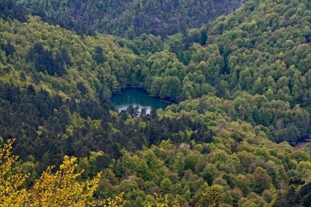 Bolu City Otel photo 3