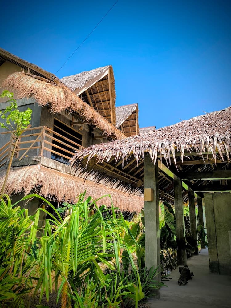 The Ohm Siargao photo 5