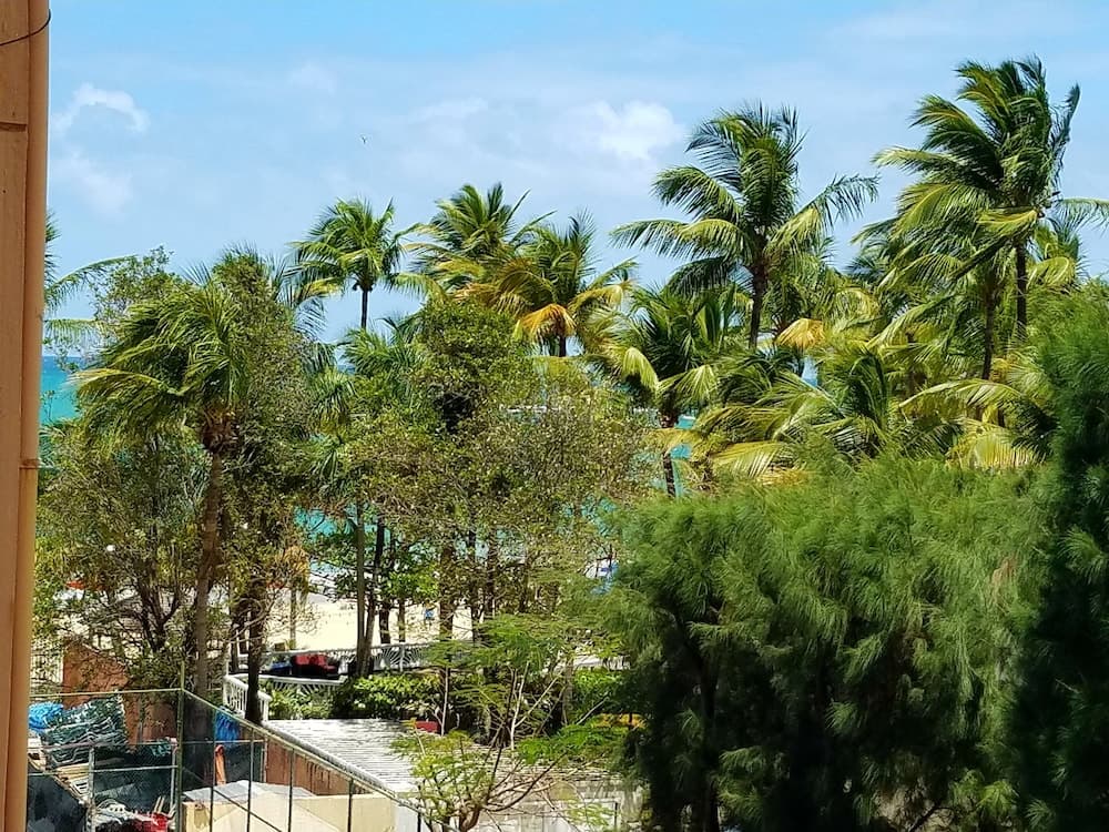 Beachfront Coral Beach Condo 305 photo 7