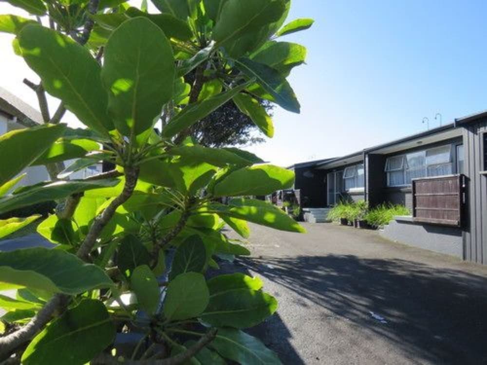 Blue Wave Motel Mount Maunganui photo 7
