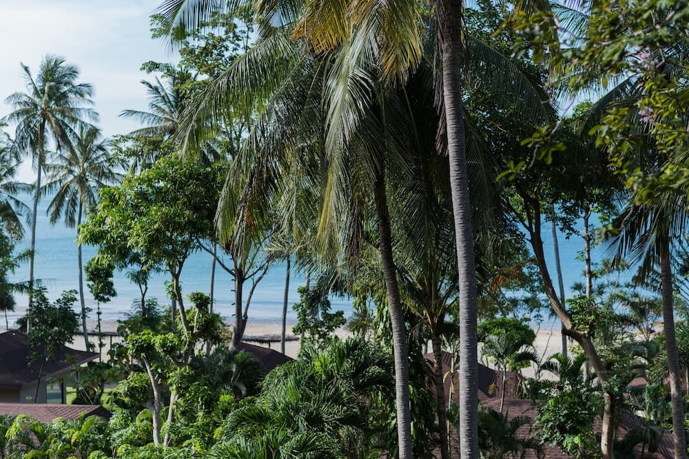 Anda Lanta Resort photo 5