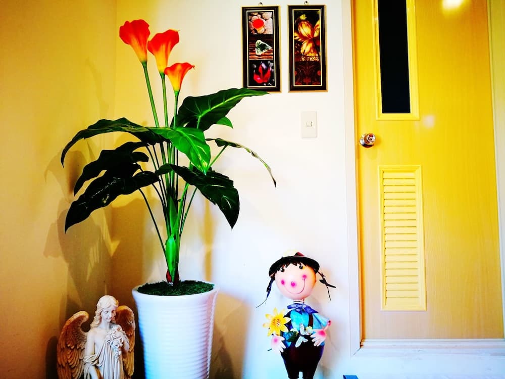 Bora Bora Bed and Breakfast photo 7