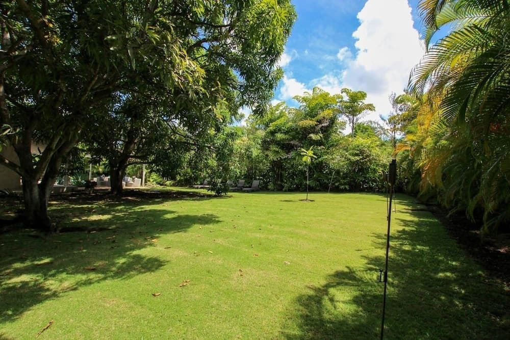Palm Grove by Bluescape photo 7