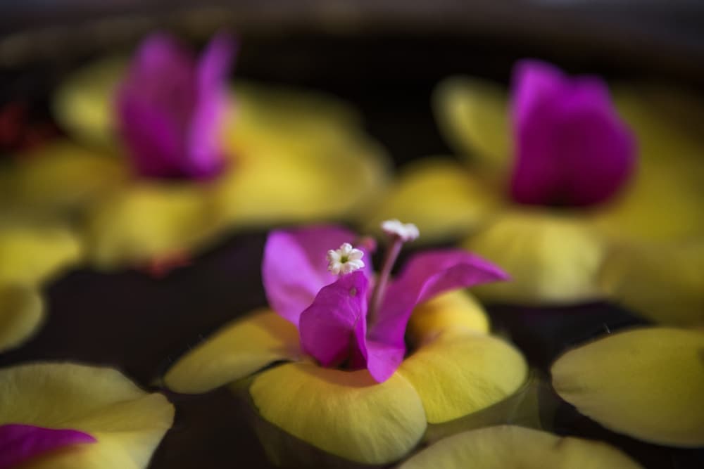 Galaxy Angkor Boutique Hotel photo 7