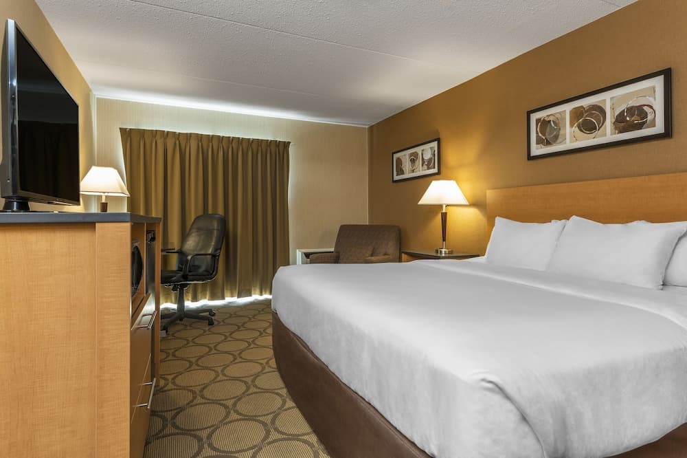 Comfort Inn Prince Albert photo 8