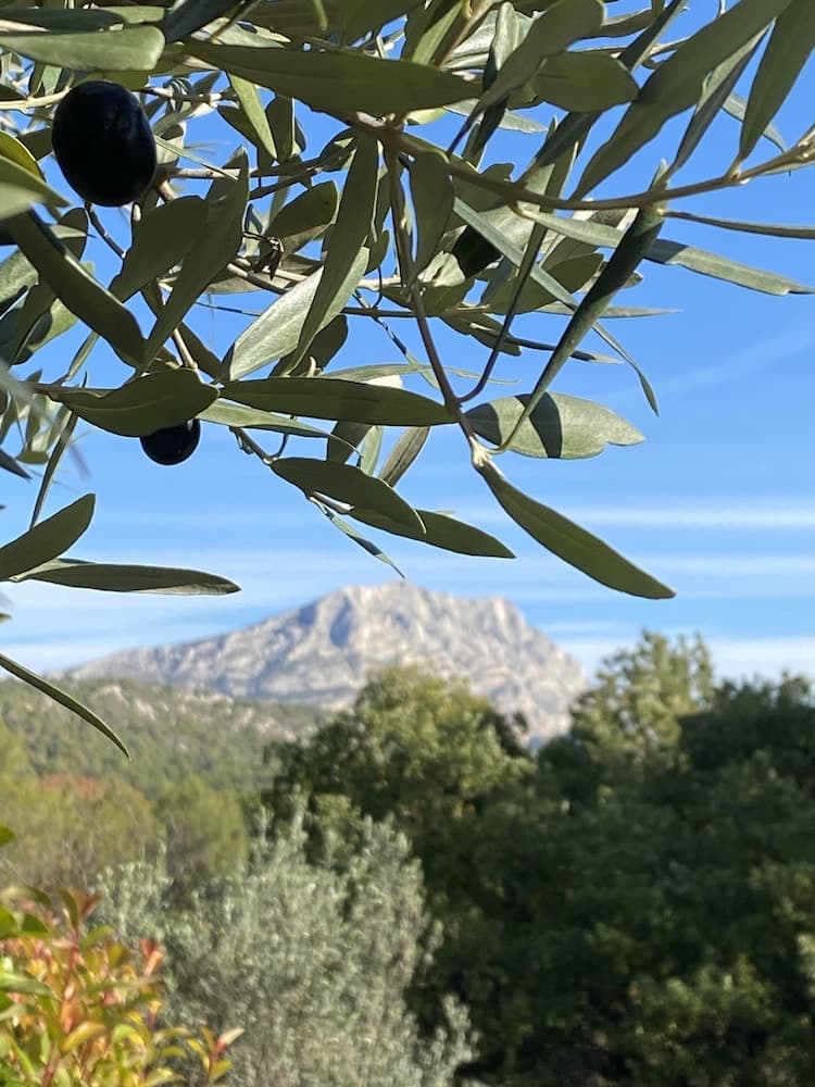 Les Lodges Sainte-Victoire Hotel & Spa photo 5