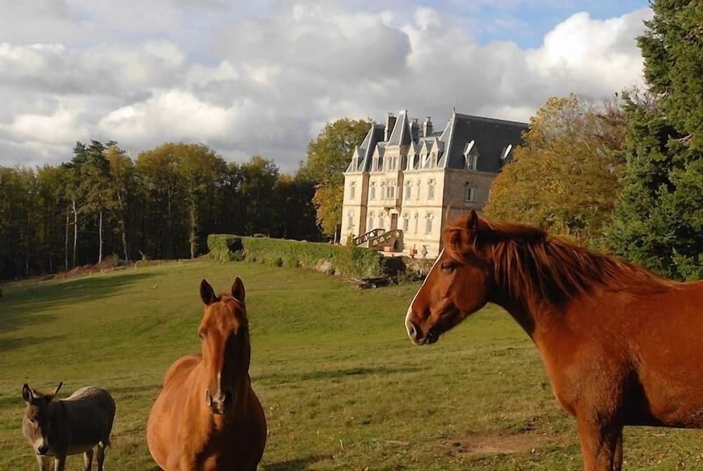 Chateau des Faugs photo 9