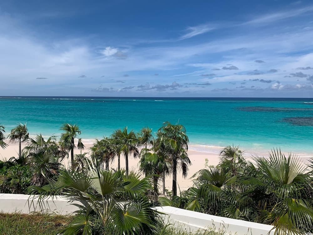 Pink Sands Point 10 Bedroom Estate