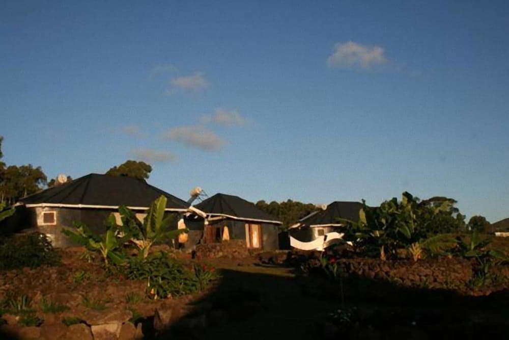 Altiplanico Rapa Nui photo 7