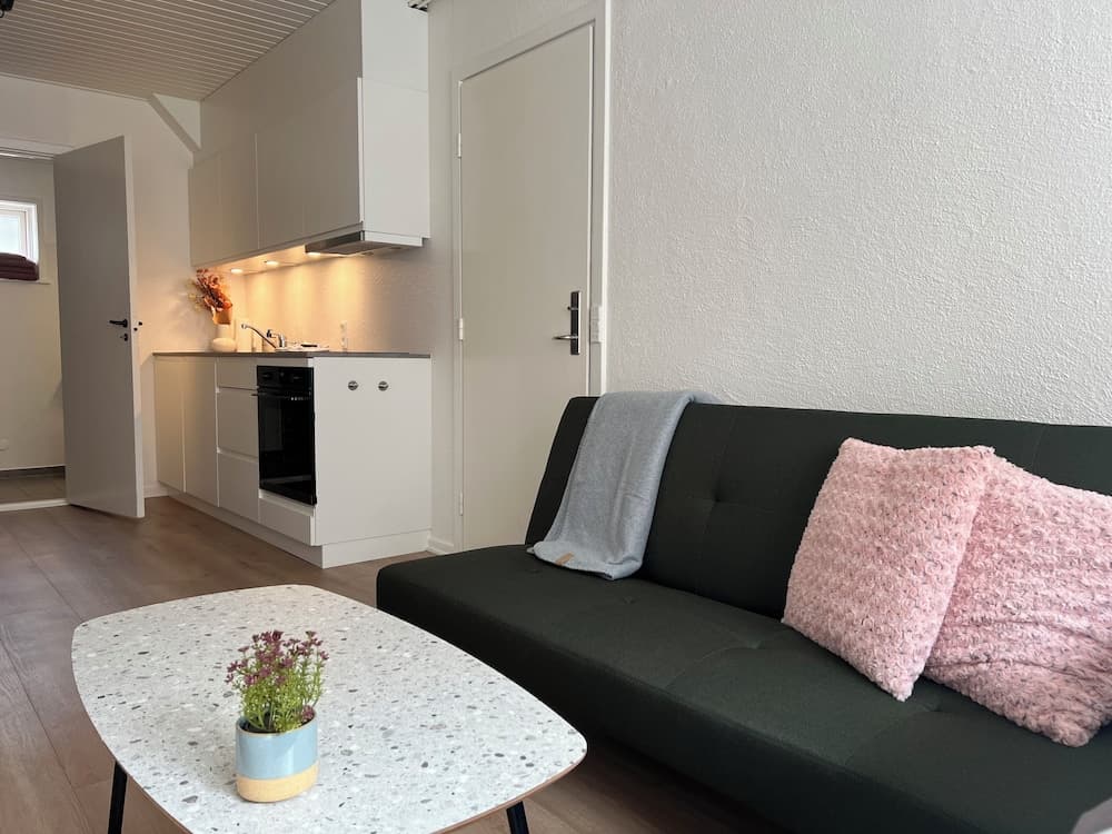Cozy Flats Silkeborg - S1 photo 6
