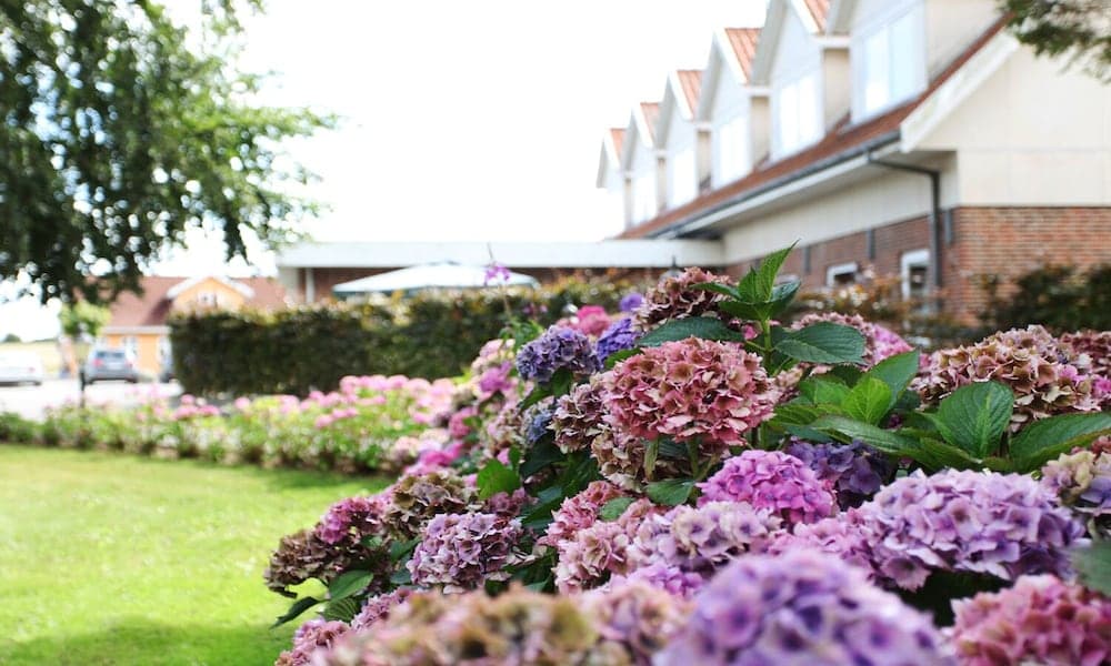Fangel Kro & Hotel photo 2