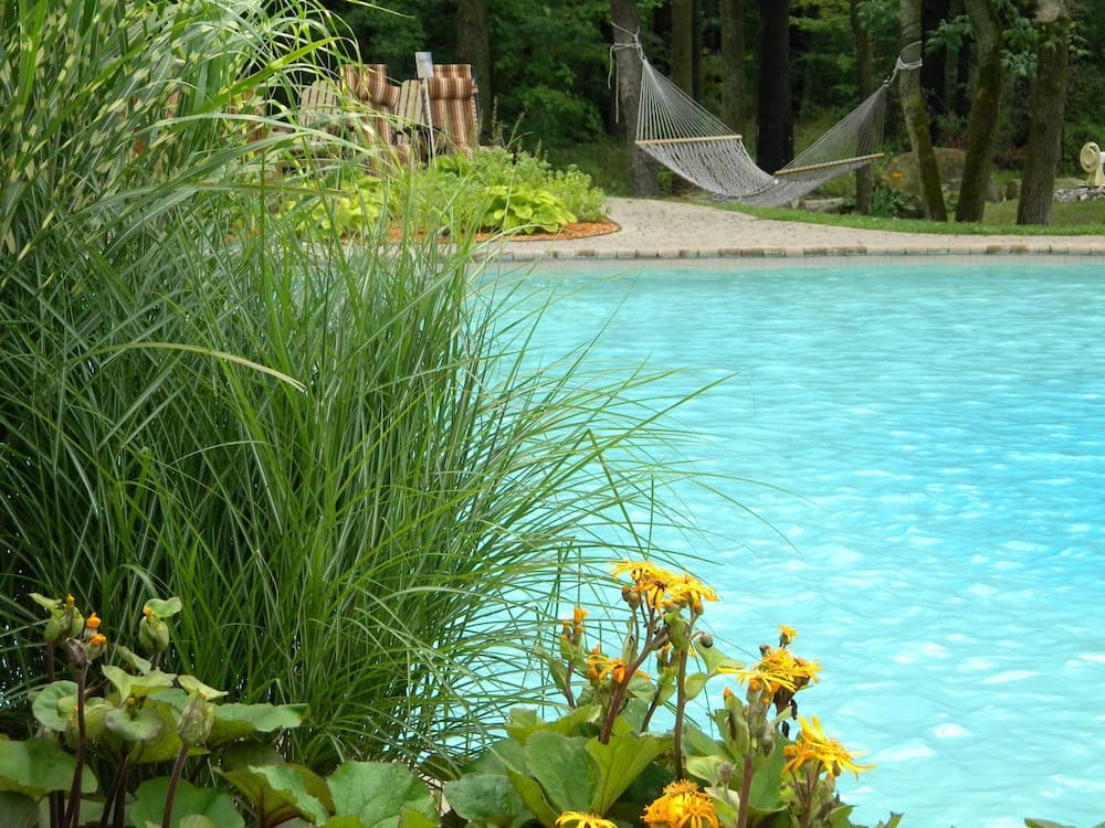 L'Oasis de l'Île, Refuge Urbain photo 4