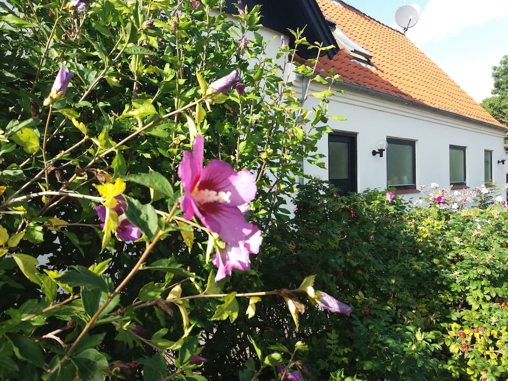 B & B Hygge photo 8